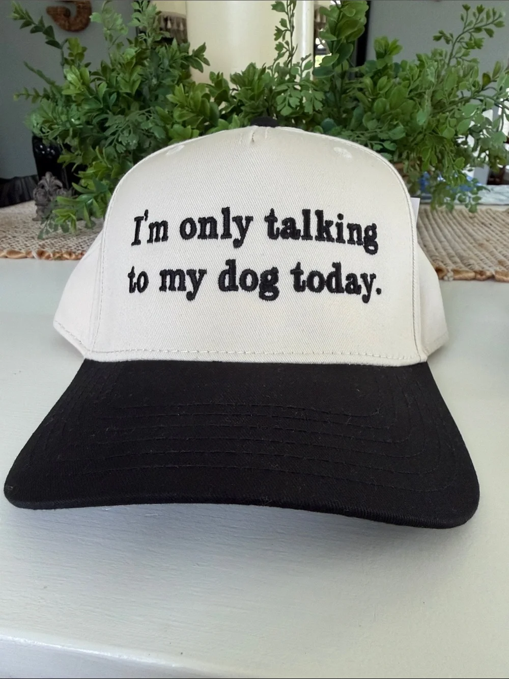 I'm Only Talking To My Dog Today Baseball Cap - Black & Cream